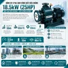 MÁY BƠM CHÂN KHÔNG TỰ MỒI NƯỚC SẠCH MBY 80BZ60-55-18.5380V (4)
