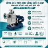 MÁY BƠM CHÂN KHÔNG TỰ MỒI NƯỚC THẢI CÔNG NGHIỆP BUỒNG INOX 40ZW10-15-1.5380V (3)