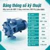 bang-thong-so-ky-thuat-may-bom-dia-mby-cb310-2-2kw-380v