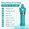 bang-thong-so-ky-thuat-may-bom-tha-chim-dung-mby-380v-than-gang-l1-hang-tieu-chuan-100qy80-50-18-5-380v