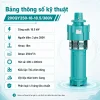 bang-thong-so-ky-thuat-may-bom-tha-chim-dung-mby-380v-than-gang-l1-hang-tieu-chuan-200qy250-18-18-5-380v