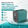 may-bom-bien-tan-mby-dong-co-nam-cham-vinh-cuu-gf250-250w