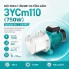 may-bom-ly-tam-mby-da-tang-canh-3ycm110-750w