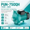 may-bom-ly-tam-mby-nuoc-nong-pun-750qh-750w-380v