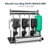 may-bom-truc-dung-cdlf4-160-12-3-380v (2)