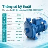 thong-so-ky-thuat-may-bom-dia-mby-cm100-750w-380v