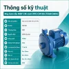 thong-so-ky-thuat-may-bom-dia-mby-cm100-750w-380v