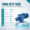 thong-so-ky-thuat-may-bom-hong-sung-mby-cab300-2-2kw.png