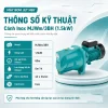 thong-so-ky-thuat-may-bom-jet-mby-mjwm-3bh-1-5kw