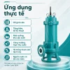 ung-dung-thuc-te-may-bom-tha-chim-mby-than-gang-co-dao-chem-rac-380v-gnwq-80gnwq45-52-15-380v