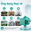 ung-dung-thuc-te-ro-le-chong-can-mby-mc-06-2-2