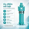 uu-diem-noi-bat-may-bom-tha-chim-dung-mby-50qy10-110-4-7-5-380v